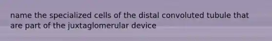 name the specialized cells of the distal convoluted tubule that are part of the juxtaglomerular device