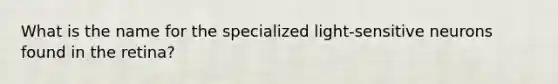 What is the name for the specialized light-sensitive neurons found in the retina?
