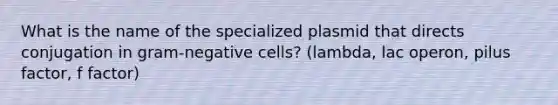 What is the name of the specialized plasmid that directs conjugation in gram-negative cells? (lambda, lac operon, pilus factor, f factor)