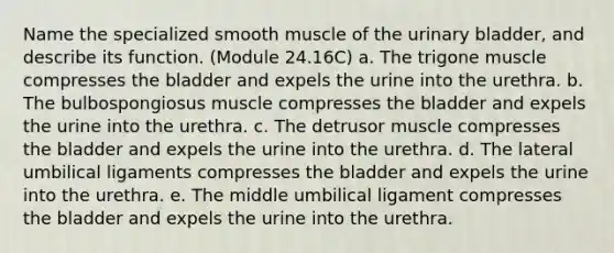 Name the specialized smooth muscle of the urinary bladder, and describe its function. (Module 24.16C) a. The trigone muscle compresses the bladder and expels the urine into the urethra. b. The bulbospongiosus muscle compresses the bladder and expels the urine into the urethra. c. The detrusor muscle compresses the bladder and expels the urine into the urethra. d. The lateral umbilical ligaments compresses the bladder and expels the urine into the urethra. e. The middle umbilical ligament compresses the bladder and expels the urine into the urethra.