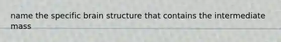 name the specific brain structure that contains the intermediate mass