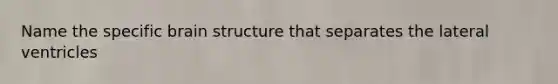 Name the specific brain structure that separates the lateral ventricles