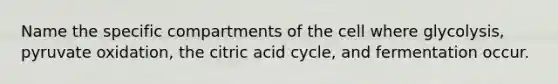 Name the specific compartments of the cell where glycolysis, pyruvate oxidation, the citric acid cycle, and fermentation occur.