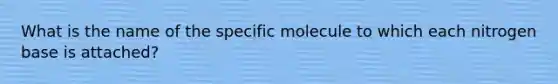 What is the name of the specific molecule to which each nitrogen base is attached?