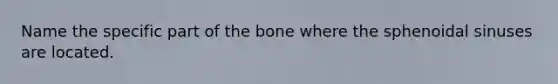 Name the specific part of the bone where the sphenoidal sinuses are located.