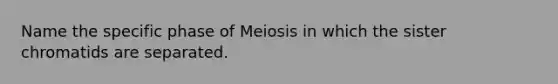 Name the specific phase of Meiosis in which the sister chromatids are separated.