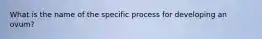 What is the name of the specific process for developing an ovum?