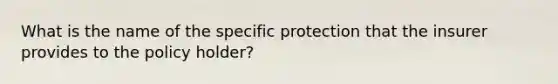 What is the name of the specific protection that the insurer provides to the policy holder?