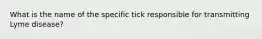 What is the name of the specific tick responsible for transmitting Lyme disease?