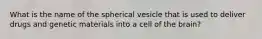 What is the name of the spherical vesicle that is used to deliver drugs and genetic materials into a cell of the brain?