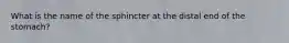 What is the name of the sphincter at the distal end of the stomach?