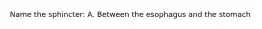 Name the sphincter: A. Between the esophagus and the stomach