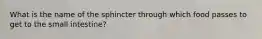 What is the name of the sphincter through which food passes to get to the small intestine?