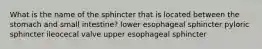 What is the name of the sphincter that is located between the stomach and small intestine? lower esophageal sphincter pyloric sphincter ileocecal valve upper esophageal sphincter