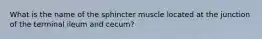 What is the name of the sphincter muscle located at the junction of the terminal ileum and cecum?