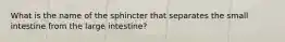 What is the name of the sphincter that separates the small intestine from the large intestine?