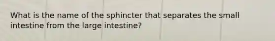 What is the name of the sphincter that separates the small intestine from the large intestine?