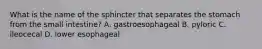 What is the name of the sphincter that separates the stomach from the small intestine? A. gastroesophageal B. pyloric C. ileocecal D. lower esophageal