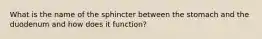 What is the name of the sphincter between the stomach and the duodenum and how does it function?