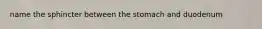 name the sphincter between the stomach and duodenum