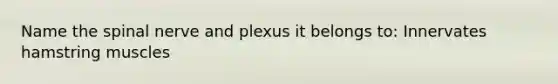 Name the spinal nerve and plexus it belongs to: Innervates hamstring muscles