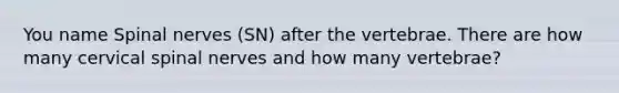 You name Spinal nerves (SN) after the vertebrae. There are how many cervical spinal nerves and how many vertebrae?