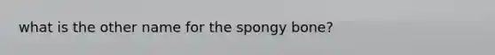 what is the other name for the spongy bone?