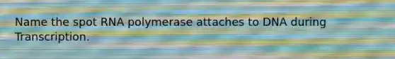 Name the spot RNA polymerase attaches to DNA during Transcription.
