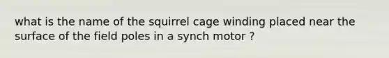 what is the name of the squirrel cage winding placed near the surface of the field poles in a synch motor ?