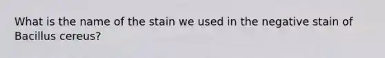 What is the name of the stain we used in the negative stain of Bacillus cereus?