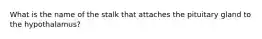 What is the name of the stalk that attaches the pituitary gland to the hypothalamus?