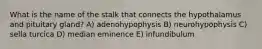 What is the name of the stalk that connects the hypothalamus and pituitary gland? A) adenohypophysis B) neurohypophysis C) sella turcica D) median eminence E) infundibulum