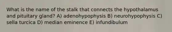 What is the name of the stalk that connects the hypothalamus and pituitary gland? A) adenohypophysis B) neurohypophysis C) sella turcica D) median eminence E) infundibulum