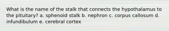 What is the name of the stalk that connects the hypothalamus to the pituitary? a. sphenoid stalk b. nephron c. corpus callosum d. infundibulum e. cerebral cortex