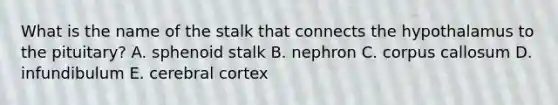 What is the name of the stalk that connects the hypothalamus to the pituitary? A. sphenoid stalk B. nephron C. corpus callosum D. infundibulum E. cerebral cortex