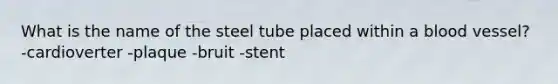 What is the name of the steel tube placed within a blood vessel? -cardioverter -plaque -bruit -stent