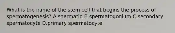 What is the name of the stem cell that begins the process of spermatogenesis? A.spermatid B.spermatogonium C.secondary spermatocyte D.primary spermatocyte