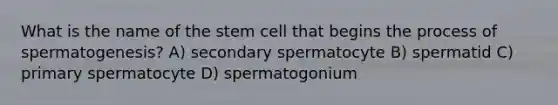 What is the name of the stem cell that begins the process of spermatogenesis? A) secondary spermatocyte B) spermatid C) primary spermatocyte D) spermatogonium