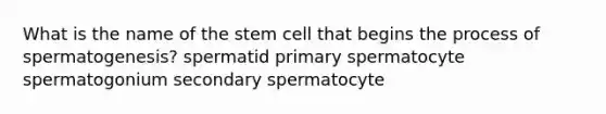 What is the name of the stem cell that begins the process of spermatogenesis? spermatid primary spermatocyte spermatogonium secondary spermatocyte