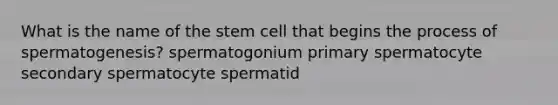 What is the name of the stem cell that begins the process of spermatogenesis? spermatogonium primary spermatocyte secondary spermatocyte spermatid