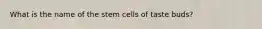 What is the name of the stem cells of taste buds?