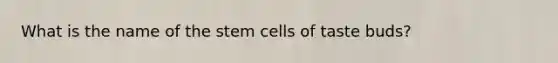 What is the name of the stem cells of taste buds?