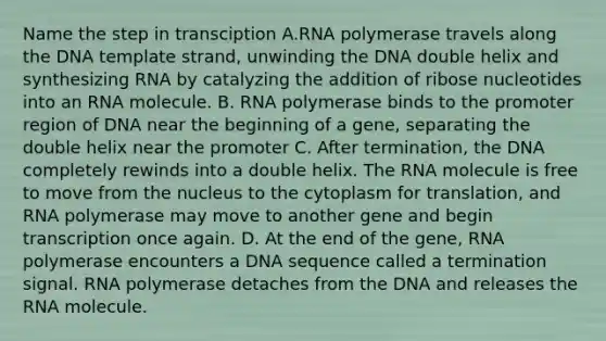 Name the step in transciption A.RNA polymerase travels along the DNA template strand, unwinding the DNA double helix and synthesizing RNA by catalyzing the addition of ribose nucleotides into an RNA molecule. B. RNA polymerase binds to the promoter region of DNA near the beginning of a gene, separating the double helix near the promoter C. After termination, the DNA completely rewinds into a double helix. The RNA molecule is free to move from the nucleus to the cytoplasm for translation, and RNA polymerase may move to another gene and begin transcription once again. D. At the end of the gene, RNA polymerase encounters a DNA sequence called a termination signal. RNA polymerase detaches from the DNA and releases the RNA molecule.