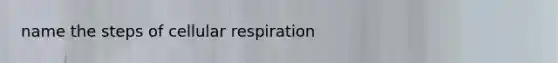 name the steps of cellular respiration