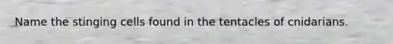 Name the stinging cells found in the tentacles of cnidarians.