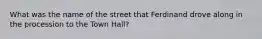 What was the name of the street that Ferdinand drove along in the procession to the Town Hall?