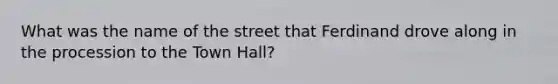 What was the name of the street that Ferdinand drove along in the procession to the Town Hall?