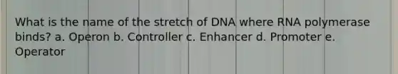 What is the name of the stretch of DNA where RNA polymerase binds? a. Operon b. Controller c. Enhancer d. Promoter e. Operator