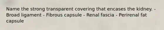 Name the strong transparent covering that encases the kidney. - Broad ligament - Fibrous capsule - Renal fascia - Perirenal fat capsule