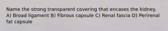 Name the strong transparent covering that encases the kidney. A) Broad ligament B) Fibrous capsule C) Renal fascia D) Perirenal fat capsule
